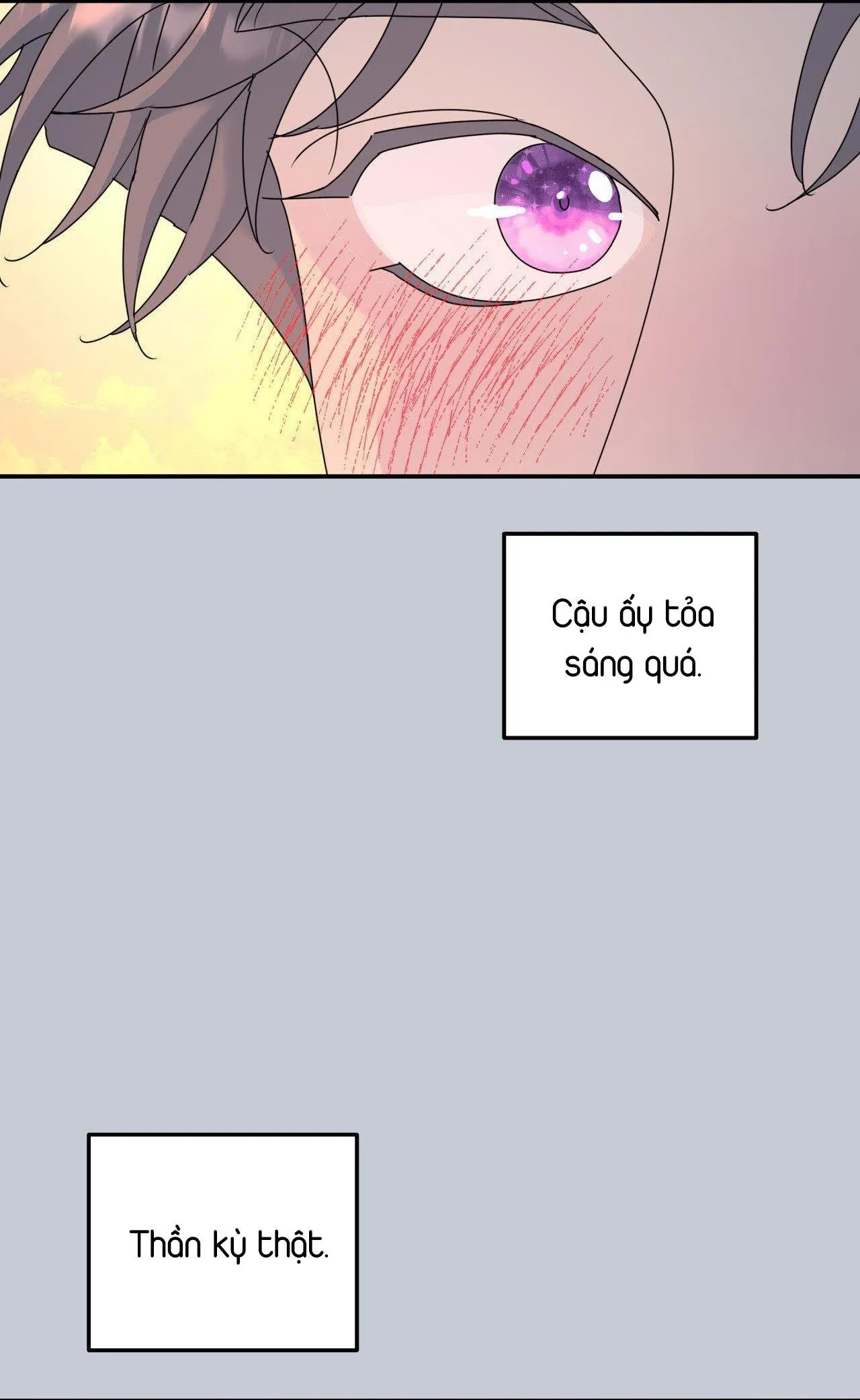 Cây Không Có Rễ Chapter 66 Trang 31