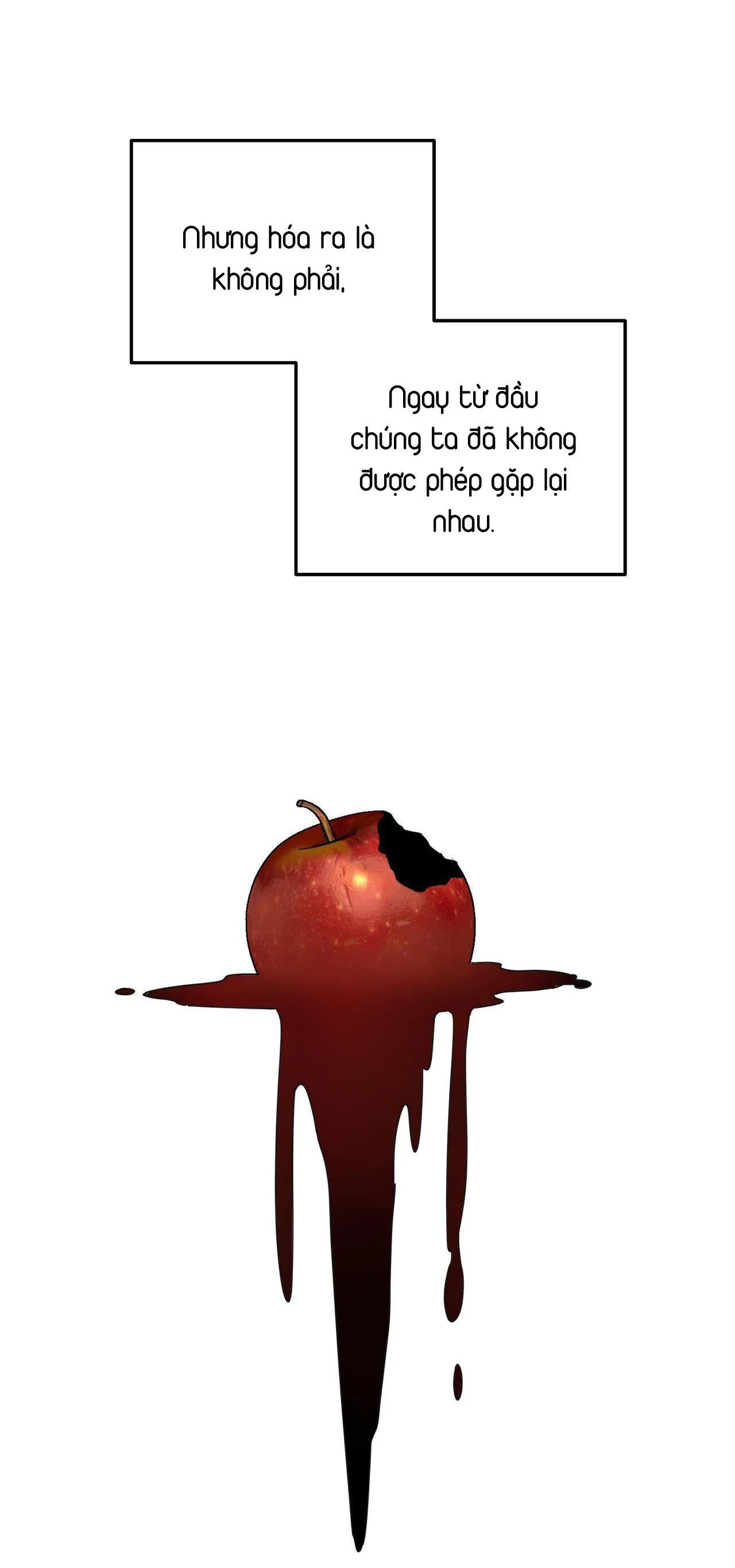 Cây Không Có Rễ Chapter 68 Trang 41