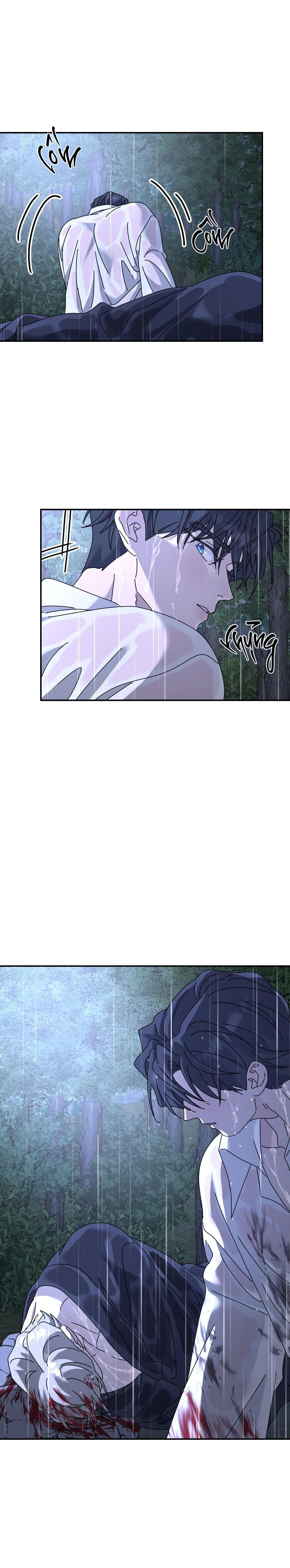 Cây Không Có Rễ Chapter 70 Trang 12