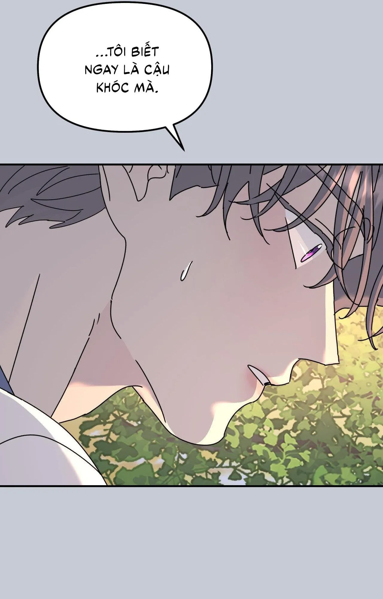 Cây Không Có Rễ Chapter 71 Trang 34