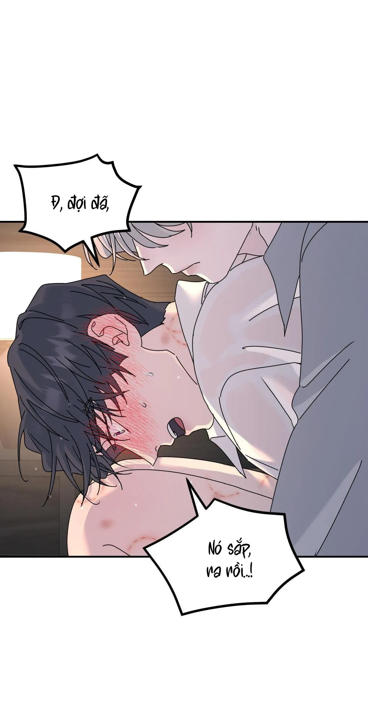 Cây Không Có Rễ Chapter 73 Trang 16