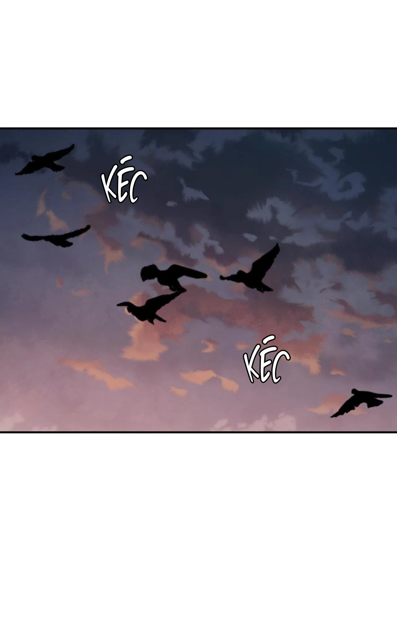 Cây Không Có Rễ Chapter 77 Trang 31