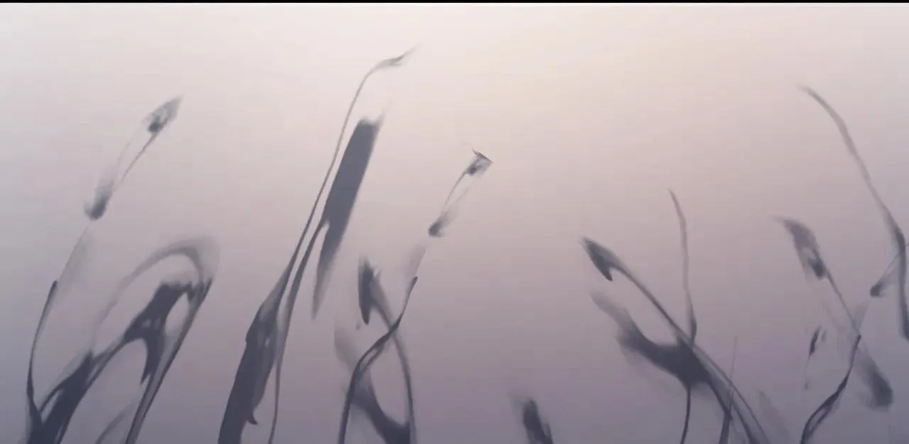 Cây Không Có Rễ Chapter 8 Trang 40