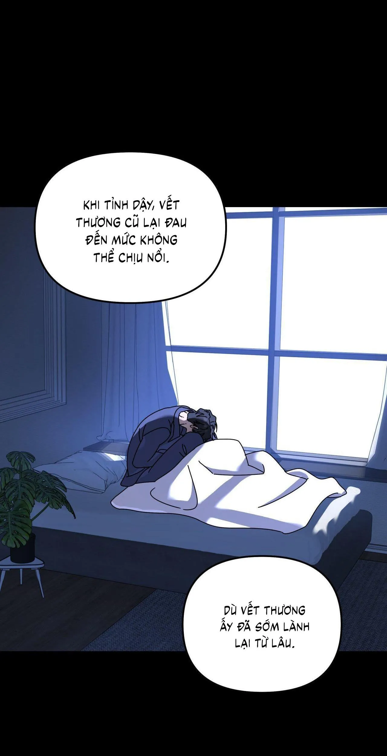 Cây Không Có Rễ Chapter 86 Trang 4