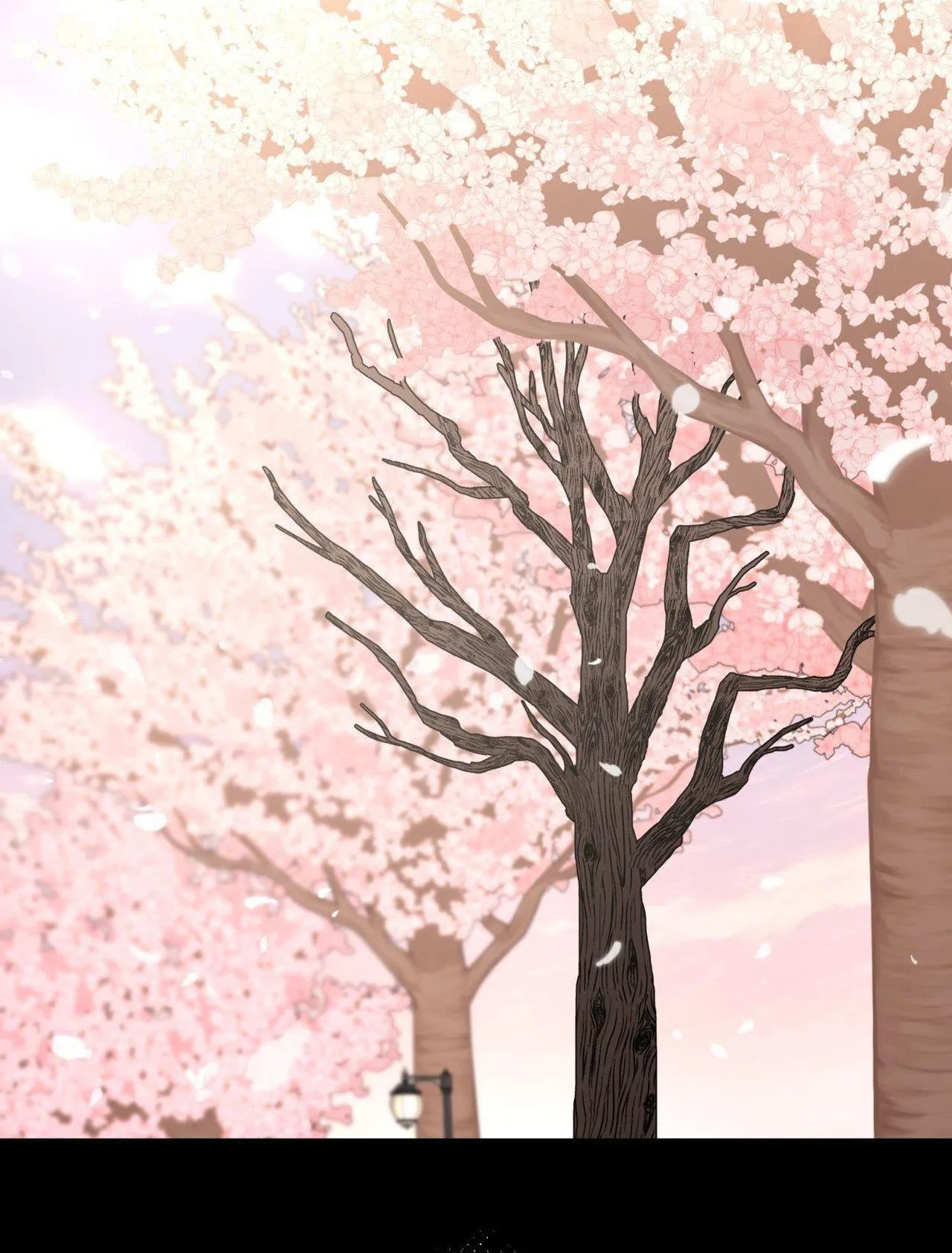 Cây Không Có Rễ Chapter 86 Trang 55