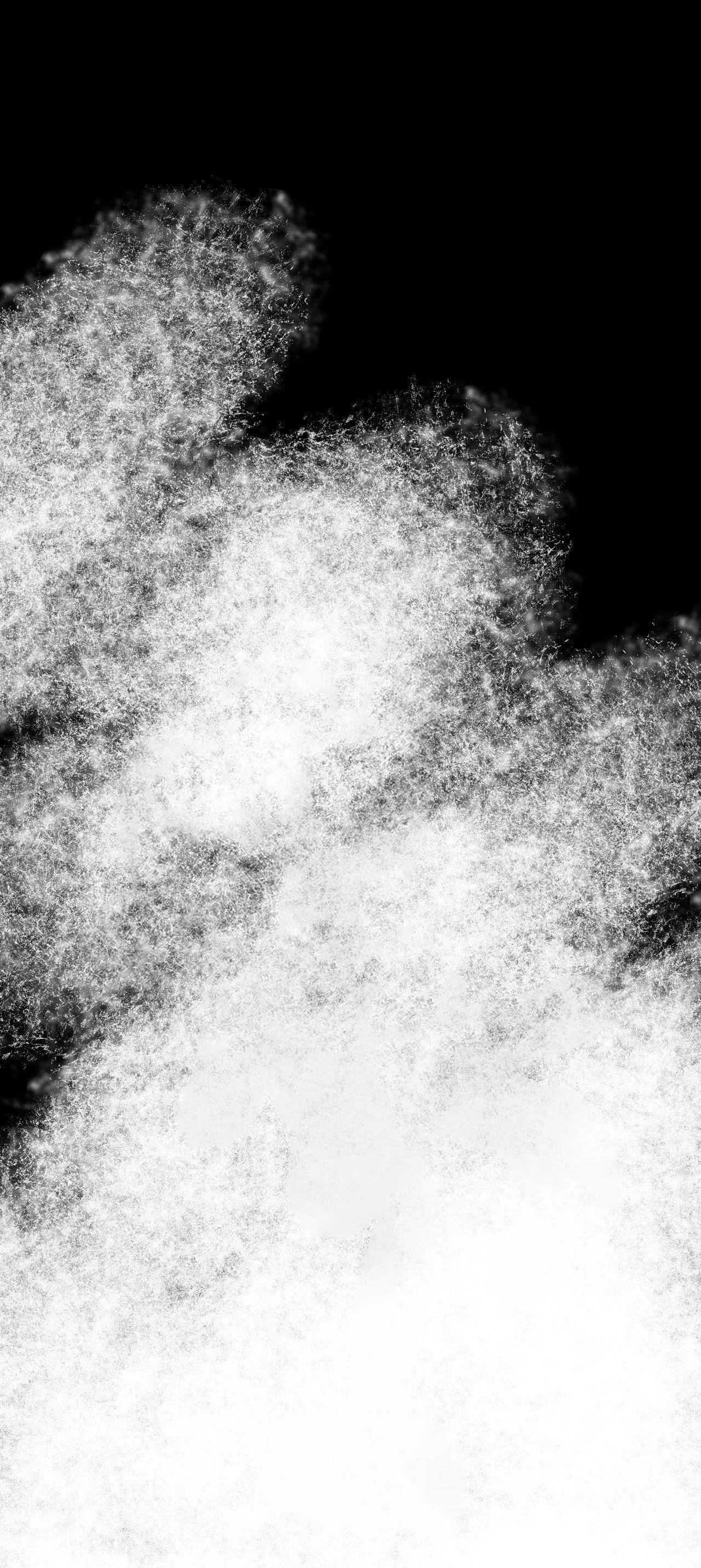 Cây Không Có Rễ Chapter 88 Trang 5