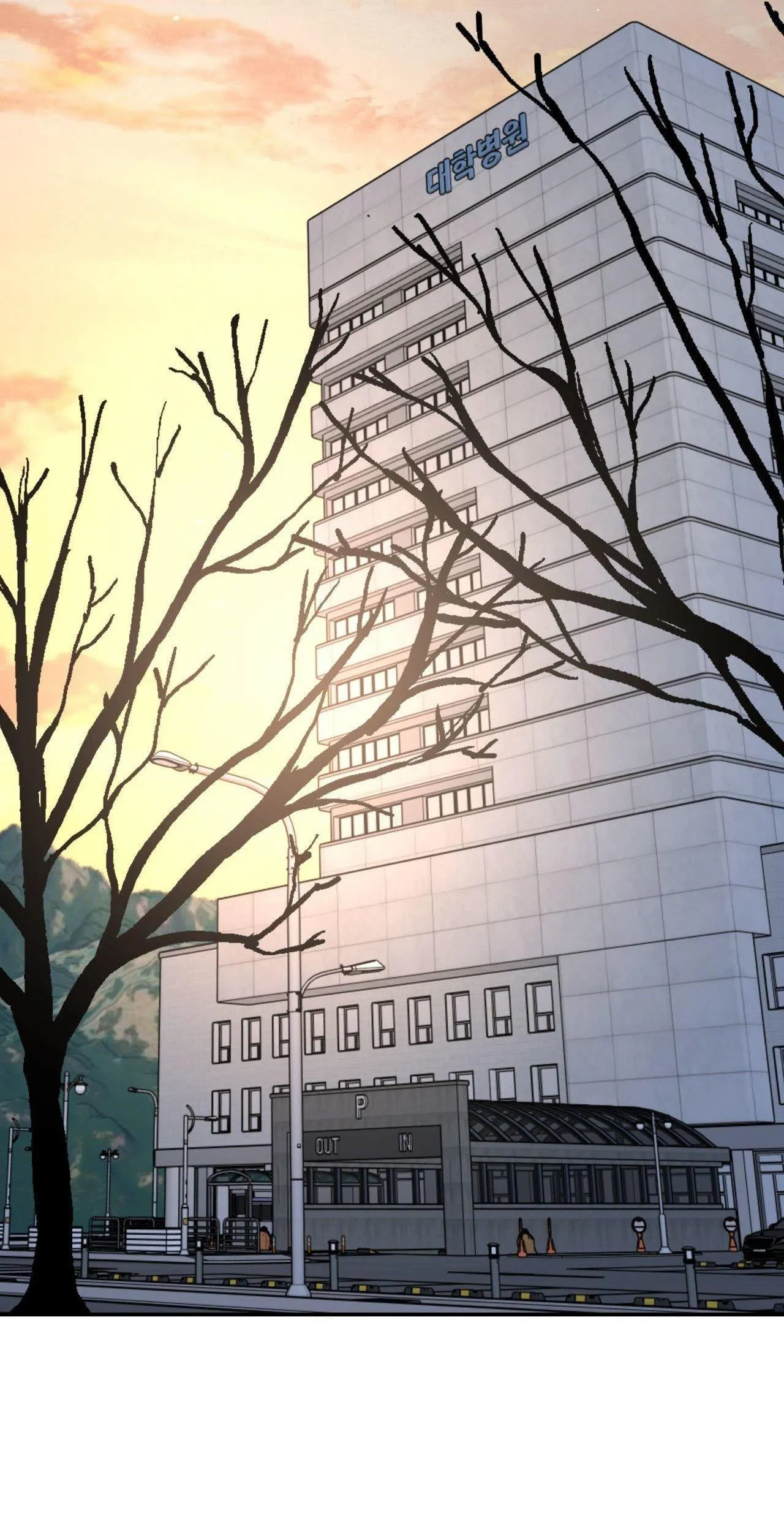 Cây Không Có Rễ Chapter 88 Trang 56