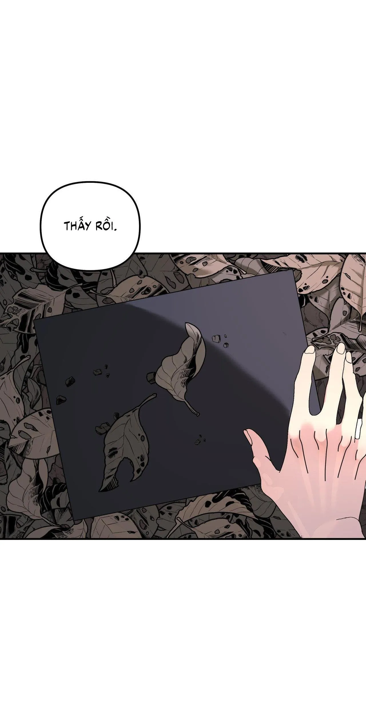 Cây Không Có Rễ Chapter 88 Trang 60