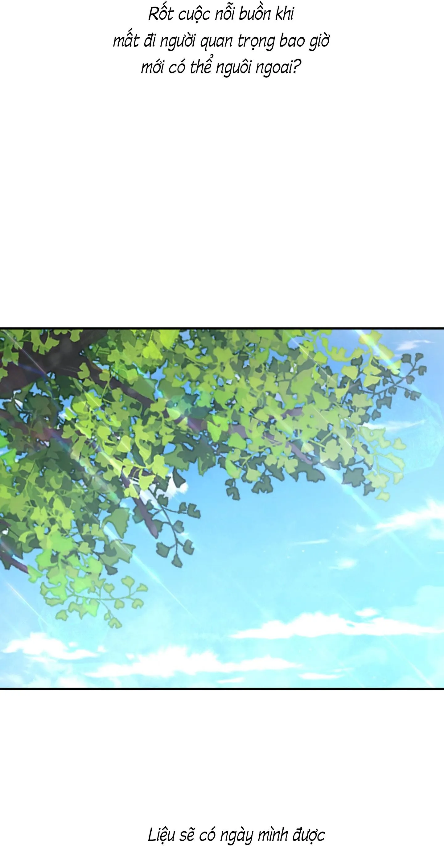 Cây Không Có Rễ Chapter 94 Trang 40