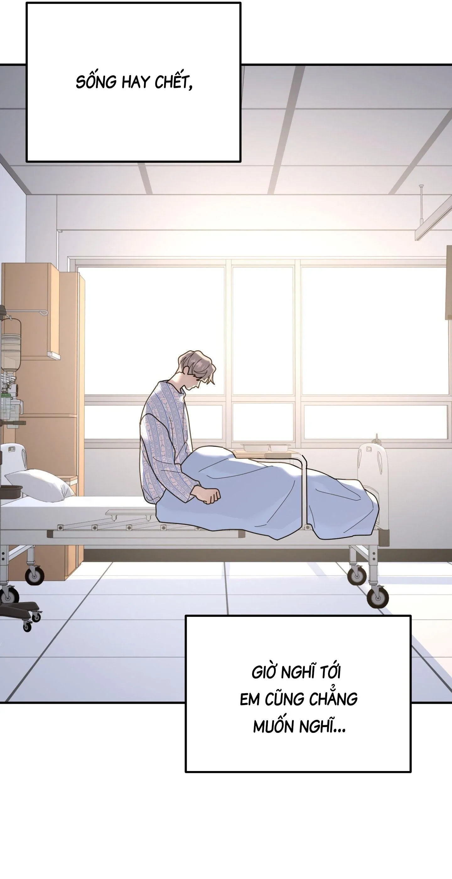 Cây Không Có Rễ Chapter 96 Trang 7