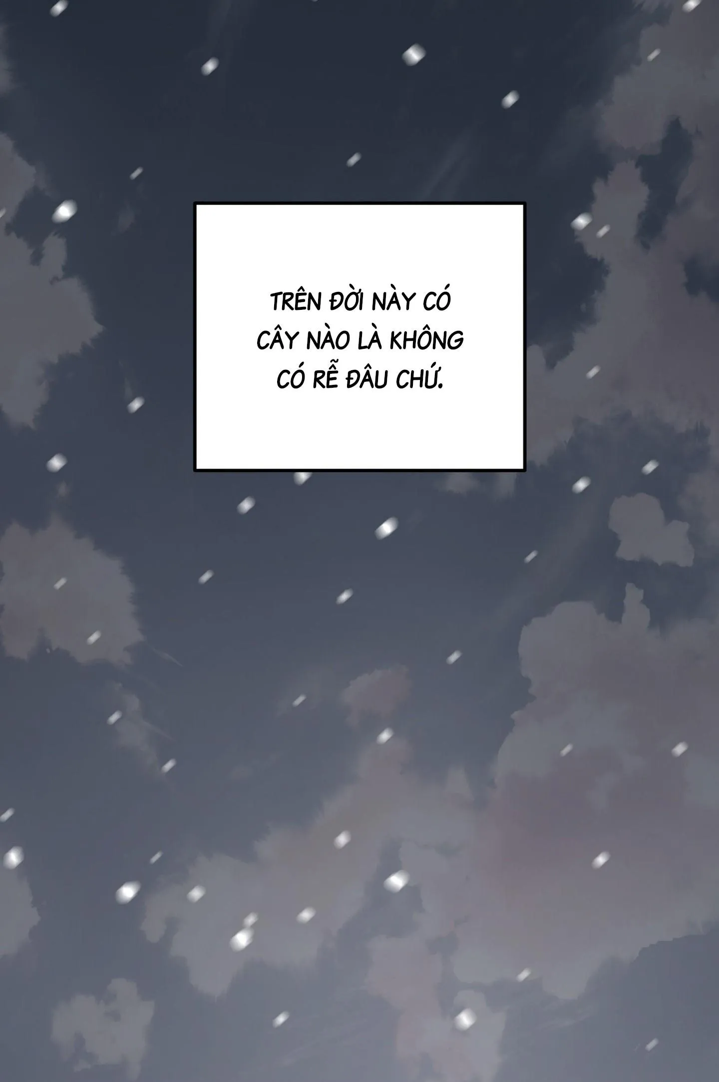 Cây Không Có Rễ Chapter 97 Trang 62