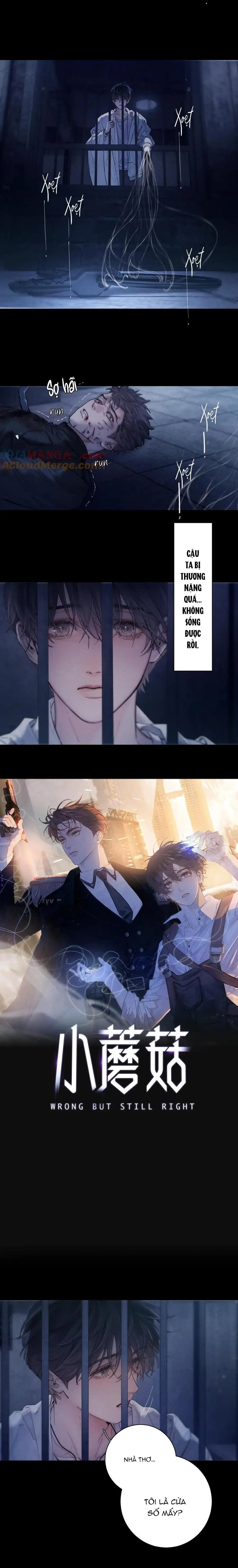 Cây Nấm Nhỏ Chapter 26 Trang 3
