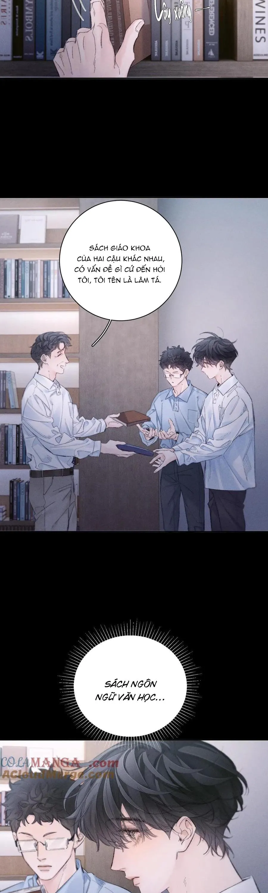 Cây Nấm Nhỏ Chapter 48 Trang 8