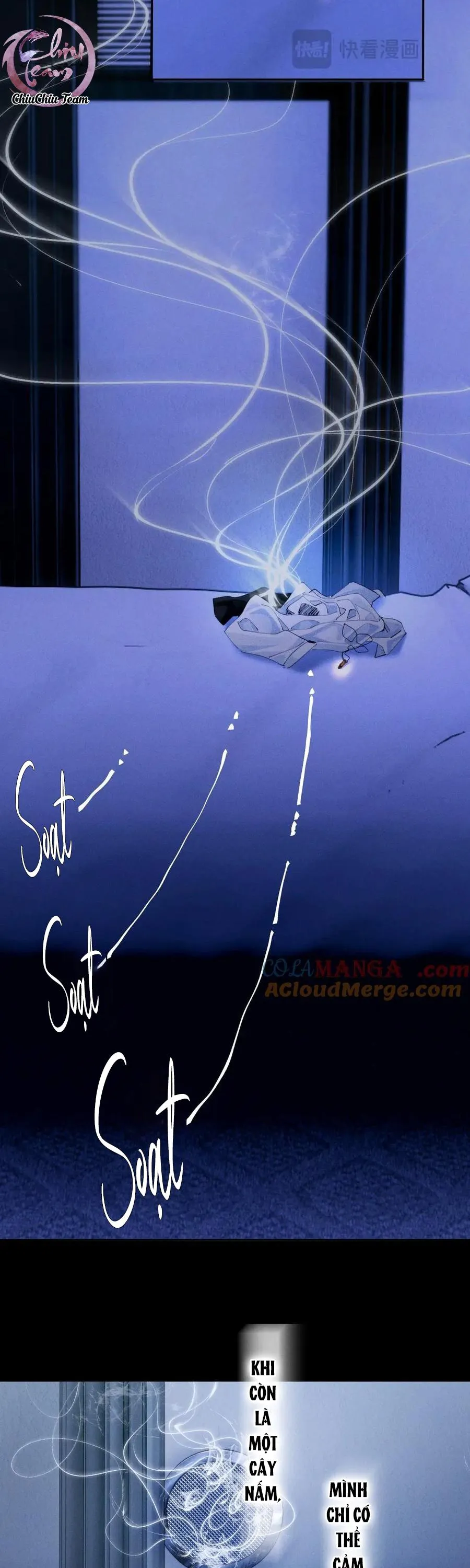 Cây Nấm Nhỏ Chapter 63 Trang 17