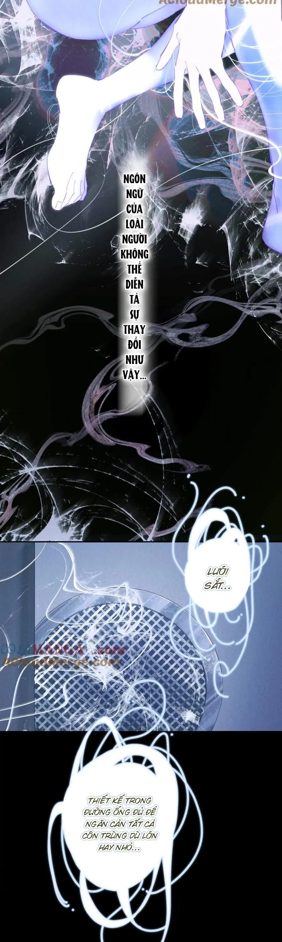 Cây Nấm Nhỏ Chapter 63 Trang 19