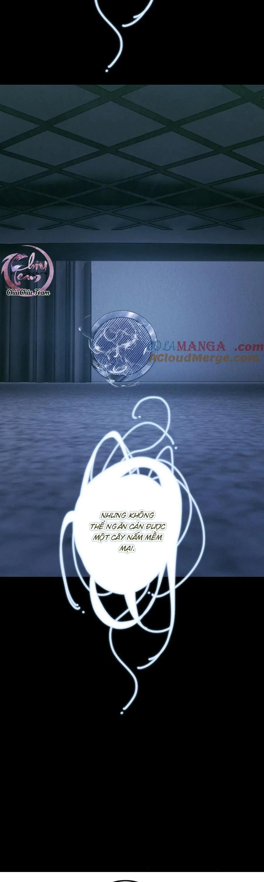 Cây Nấm Nhỏ Chapter 63 Trang 20