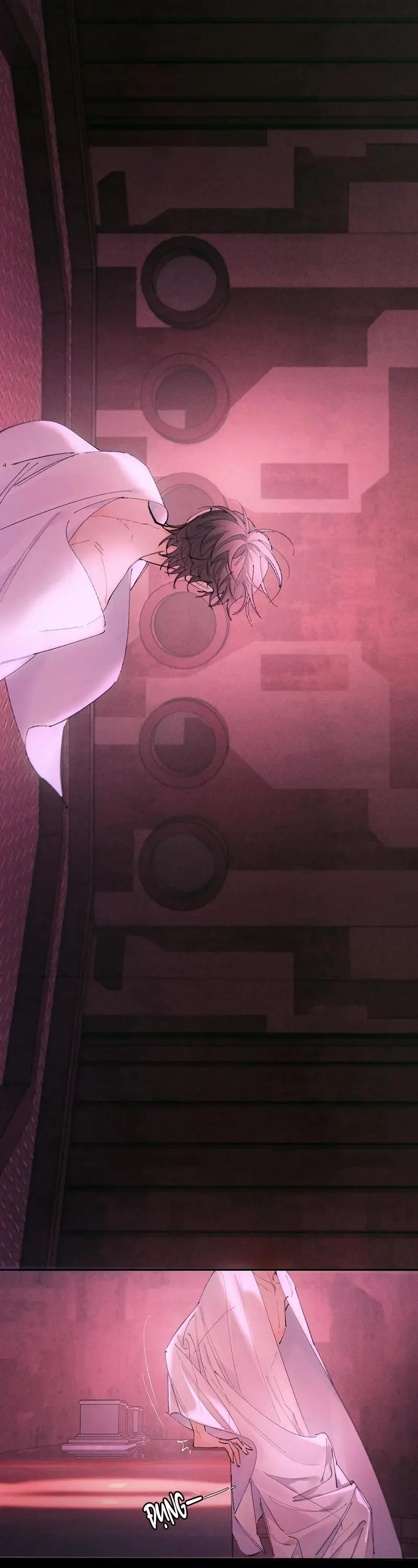 Cây Nấm Nhỏ Chapter 65 Trang 17