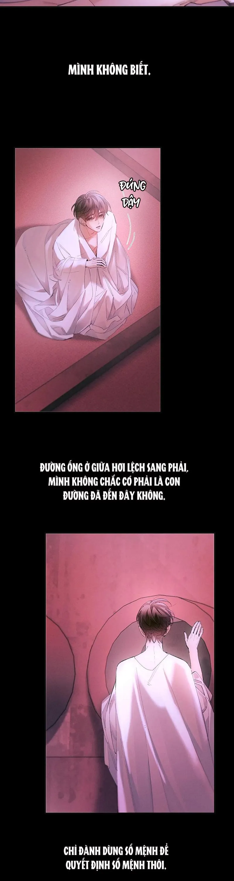 Cây Nấm Nhỏ Chapter 65 Trang 25