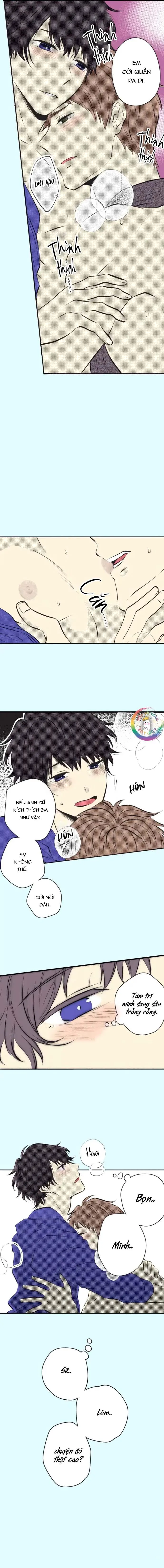 Cây Nhỏ Và Mùa Xuân Thân Yêu Chapter 35 Trang 12