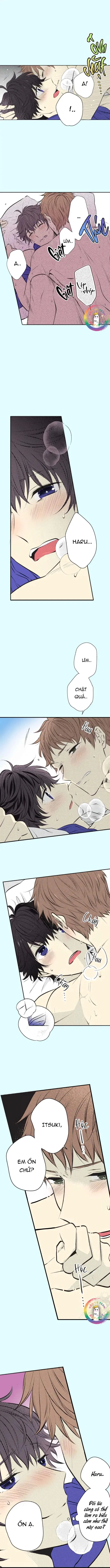 Cây Nhỏ Và Mùa Xuân Thân Yêu Chapter 36 Trang 5