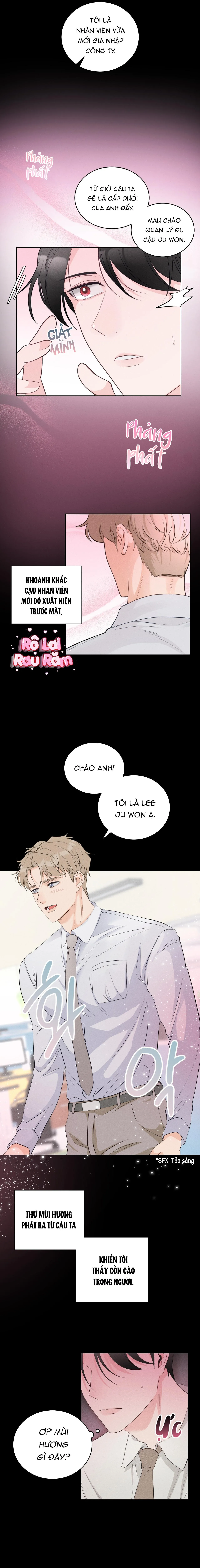 CHẤM HẾT Chapter 2 Trang 5