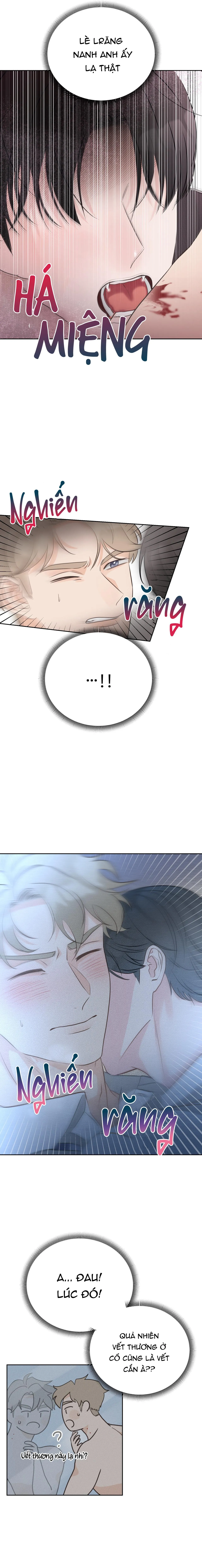 CHẤM HẾT Chapter 6 Trang 11