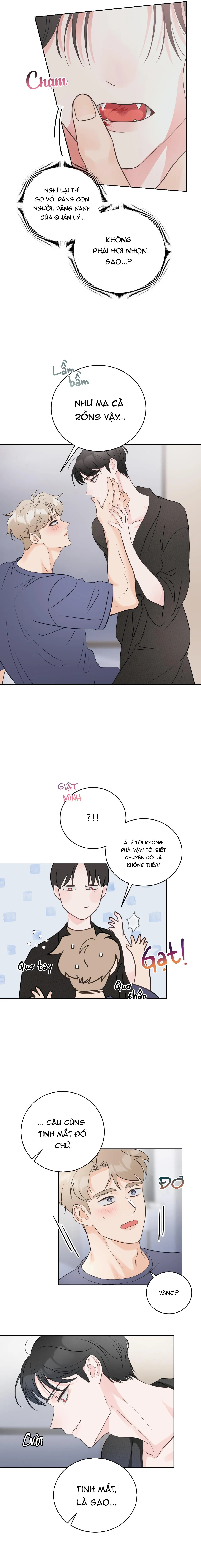 CHẤM HẾT Chapter 6 Trang 12