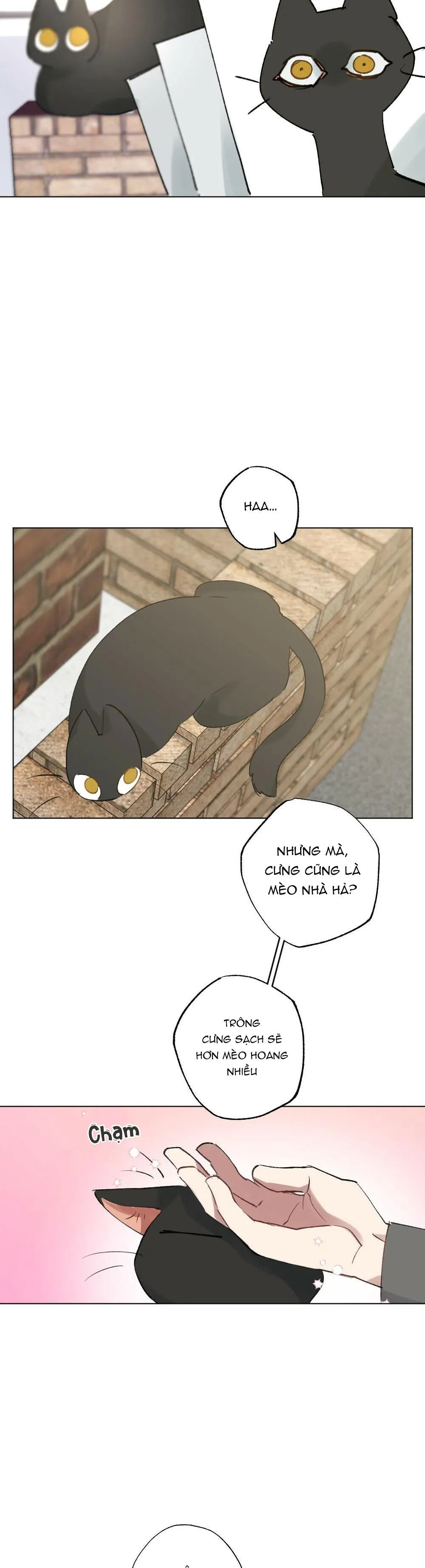 TUYỂN TẬP DÚ BỰ Chapter 54 Trang 12