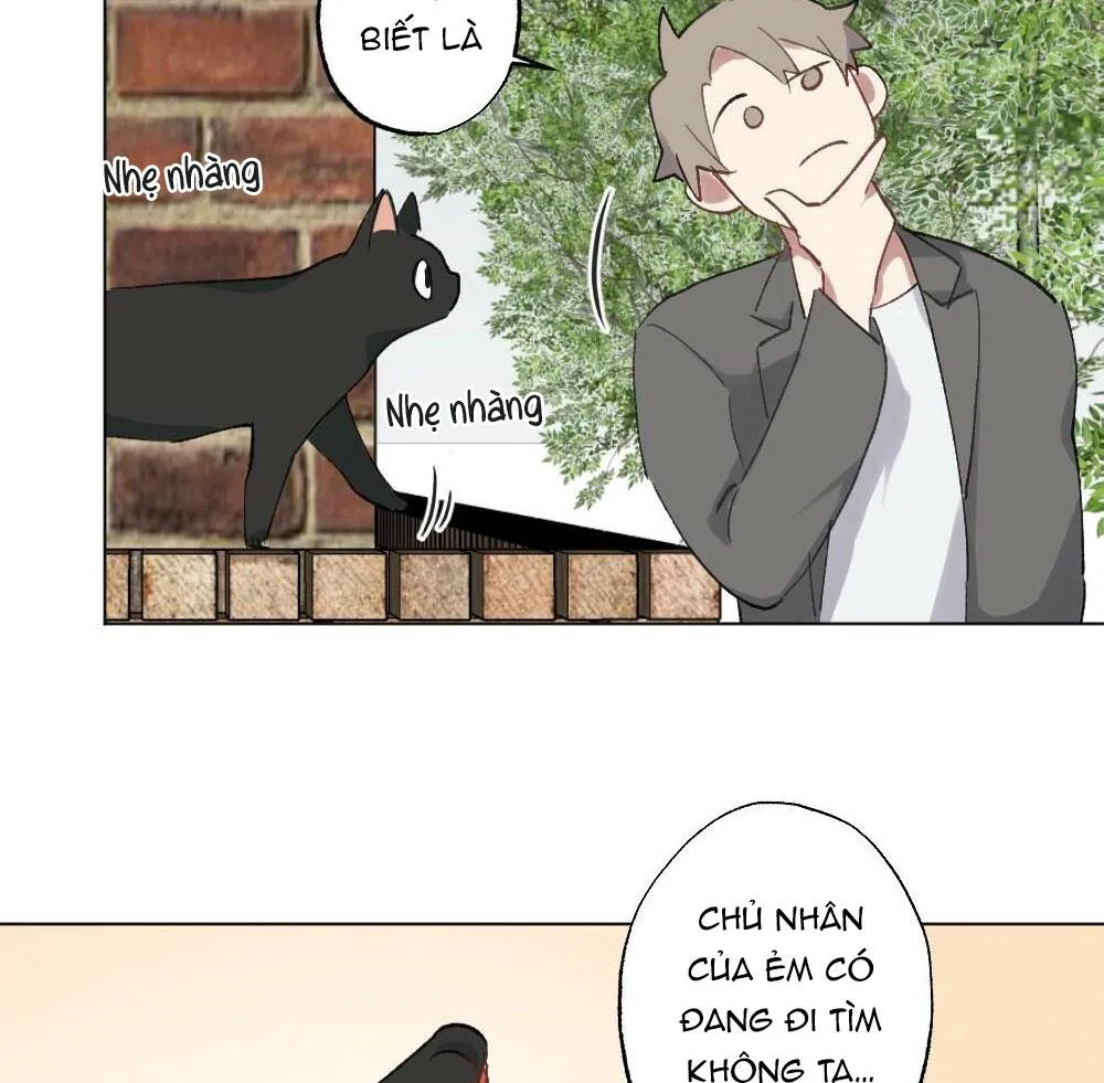 TUYỂN TẬP DÚ BỰ Chapter 54 Trang 16