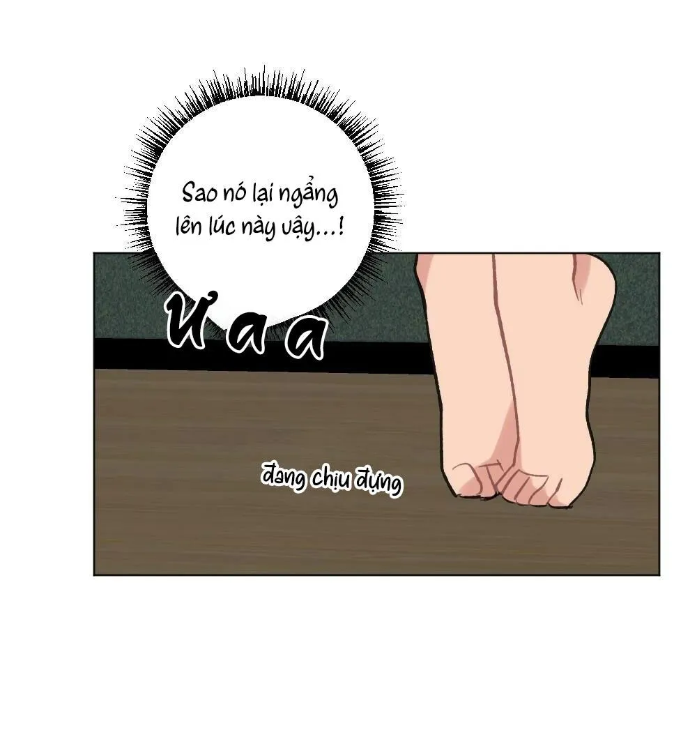 TUYỂN TẬP DÚ BỰ Chapter 58 Trang 37