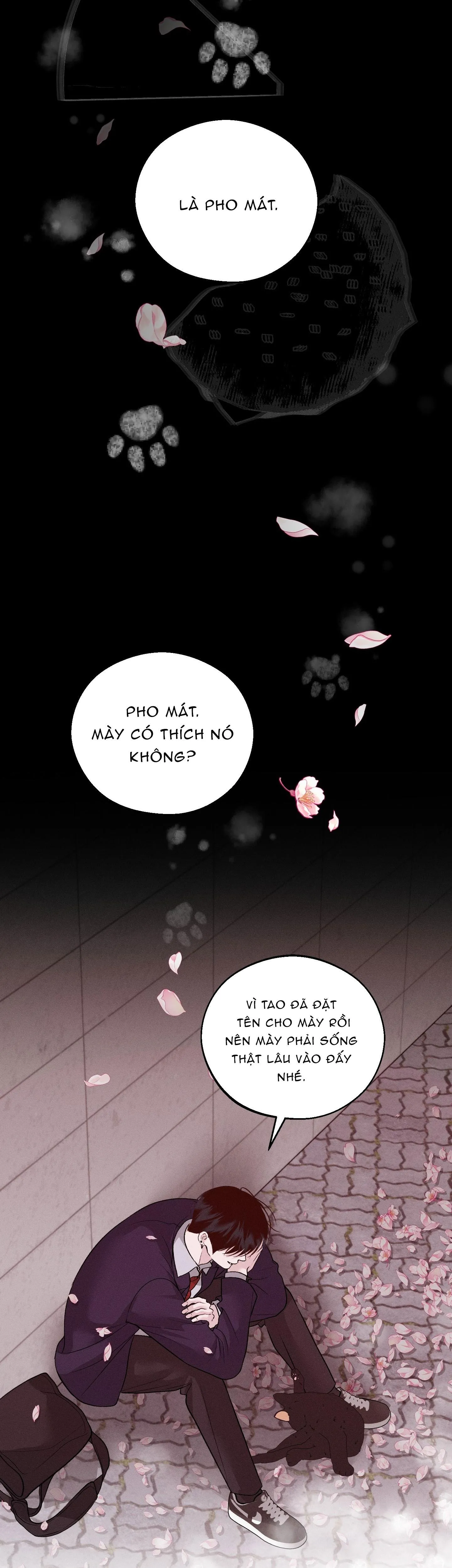 Cứu Tinh Của Thứ Hai Chapter 43 Trang 46