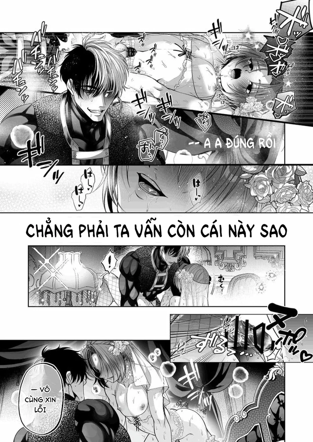 Đutanbao Shota Chapter 116 Trang 12