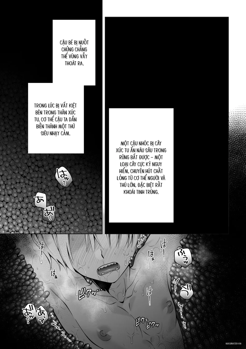 Đutanbao Shota Chapter 127 Trang 5