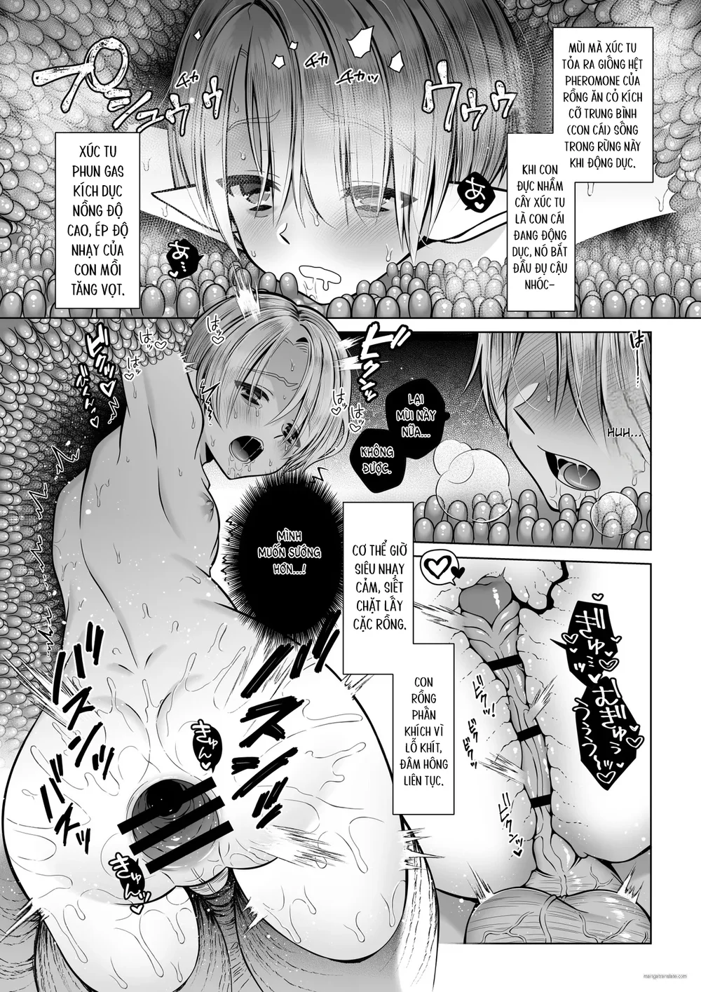 Đutanbao Shota Chapter 127 Trang 14