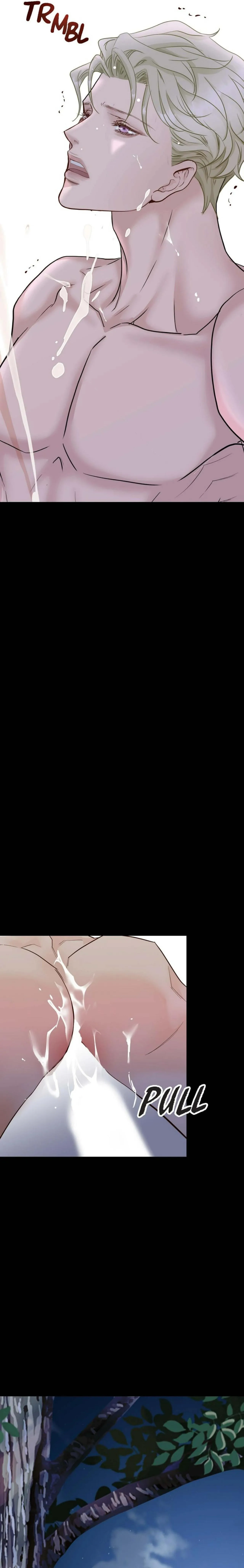 Hôn Thê Của Bóng Tối Chapter 17 Trang 14