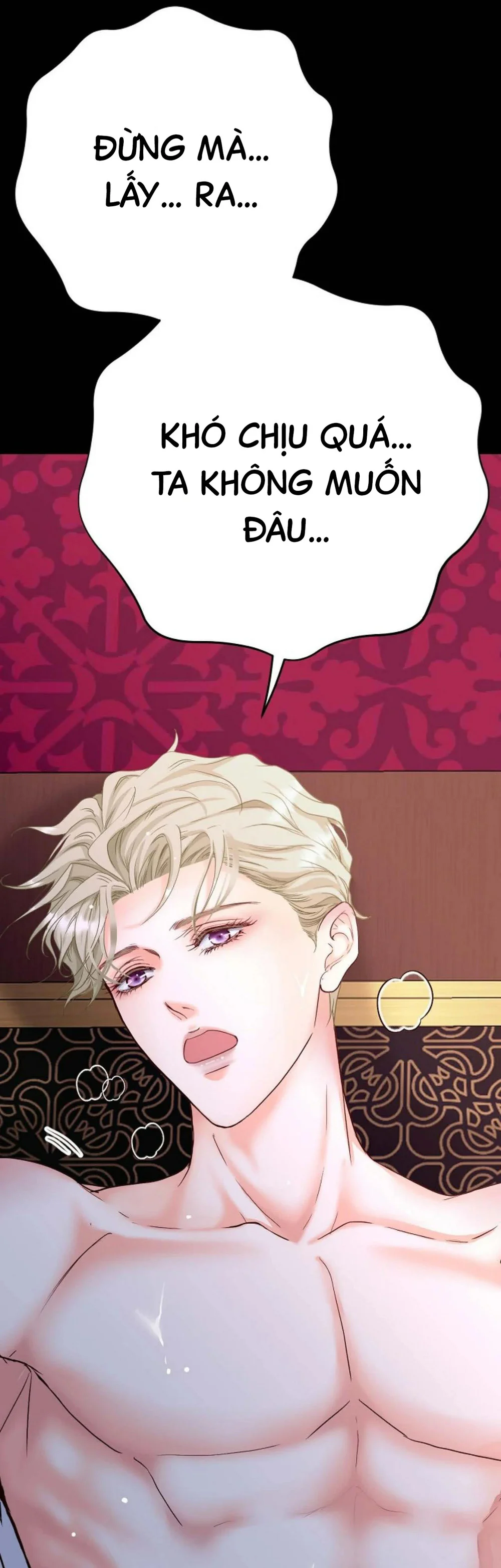 Hôn Thê Của Bóng Tối Chapter 24 Trang 20