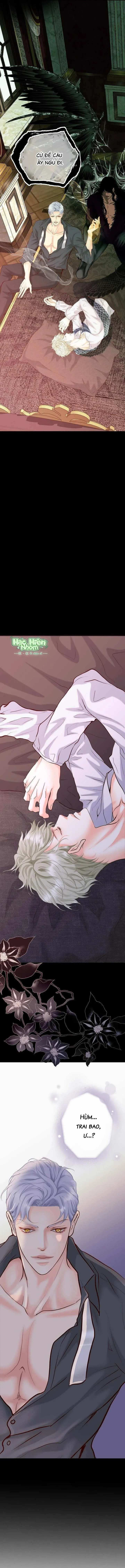 Hôn Thê Của Bóng Tối Chapter 9 Trang 15