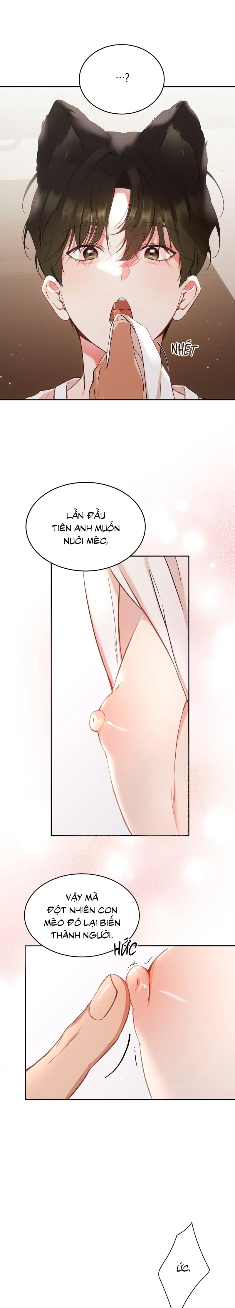 Liệu Pháp Trị Liệu Mèo Chapter 1 Trang 4