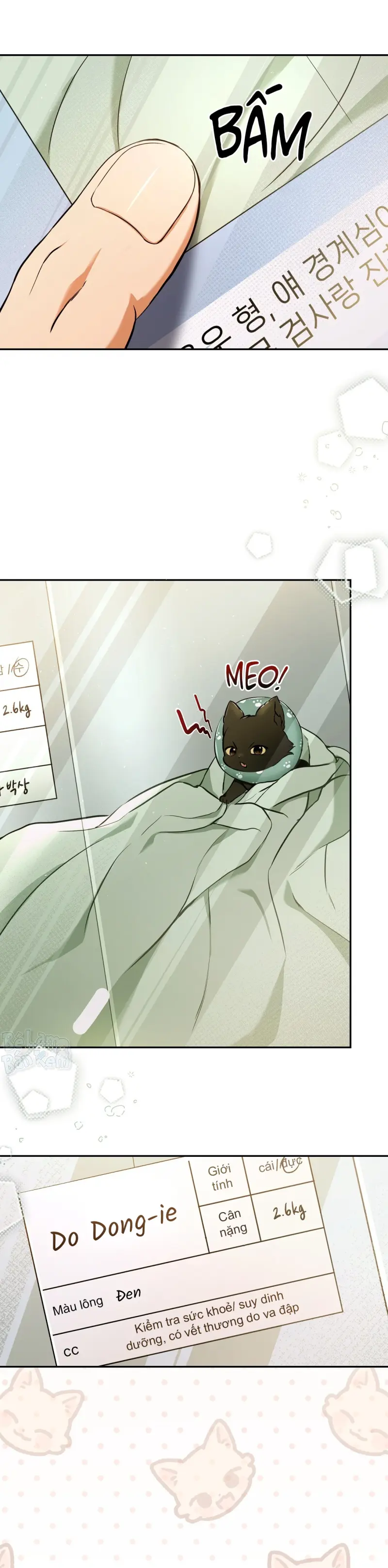 Liệu Pháp Trị Liệu Mèo Chapter 1 Trang 26
