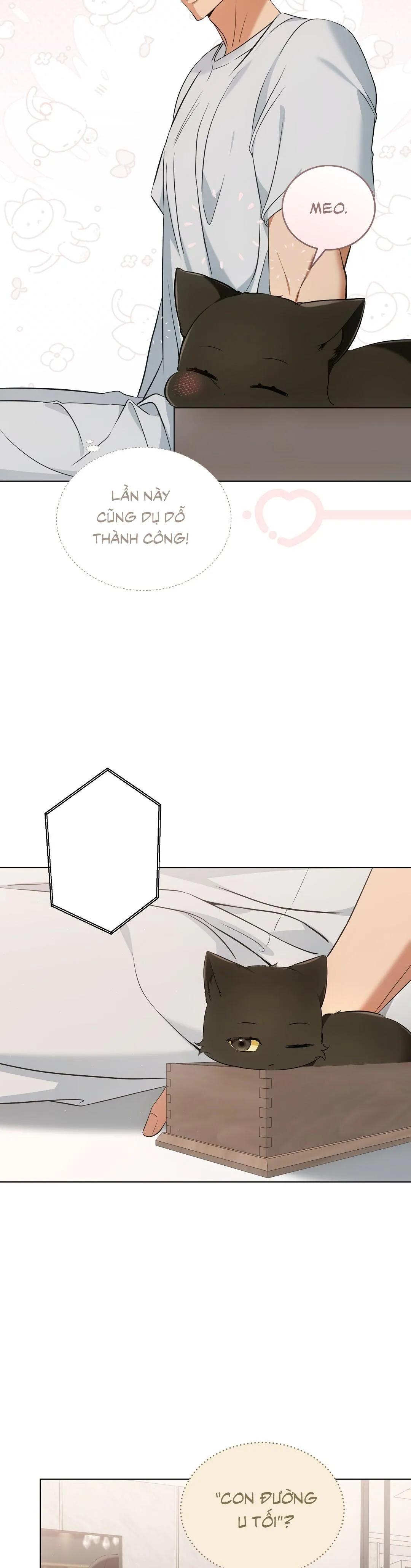 Liệu Pháp Trị Liệu Mèo Chapter 11 Trang 4