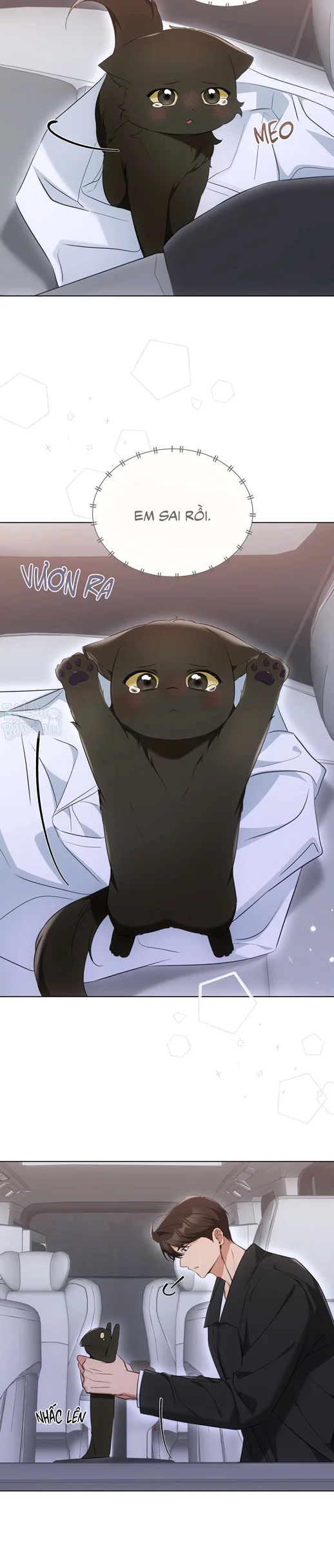 Liệu Pháp Trị Liệu Mèo Chapter 14 Trang 9