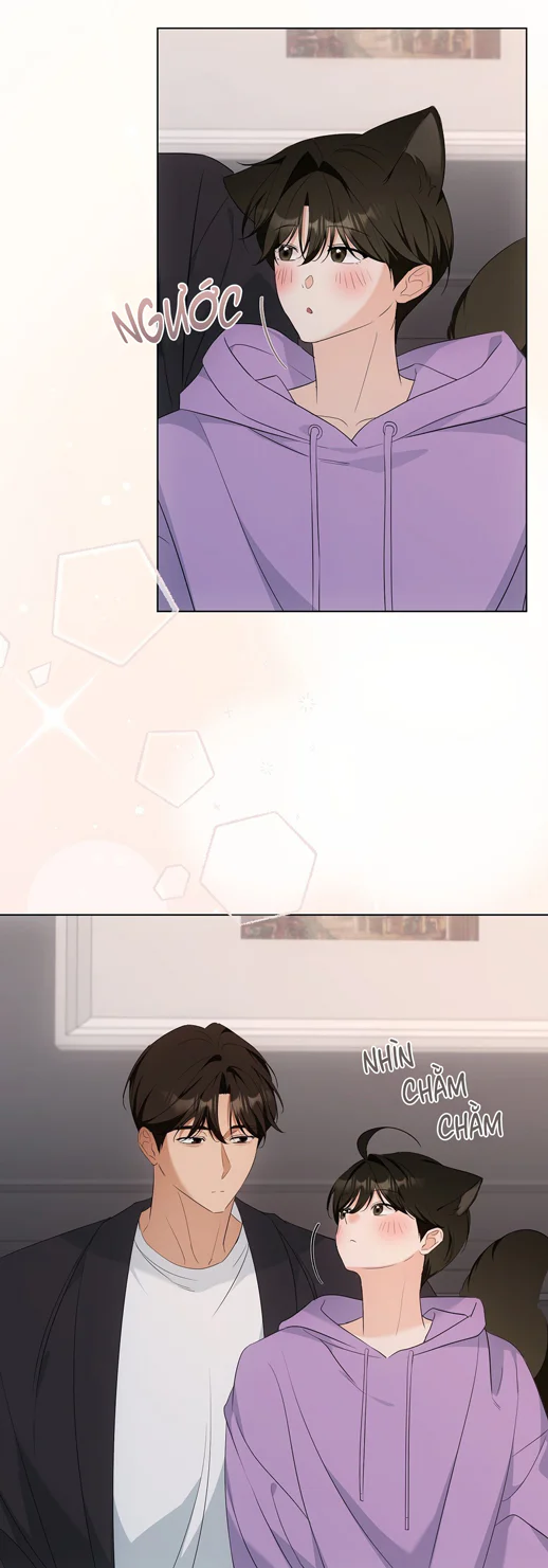 Liệu Pháp Trị Liệu Mèo Chapter 16 Trang 21