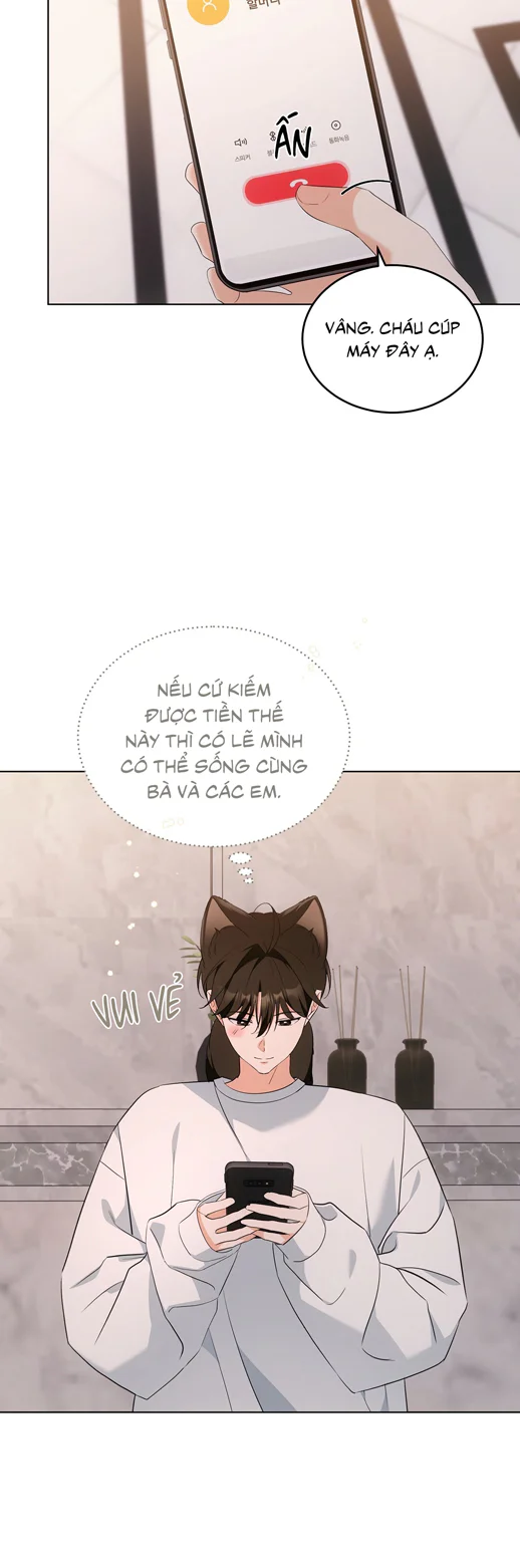 Liệu Pháp Trị Liệu Mèo Chapter 16 Trang 30