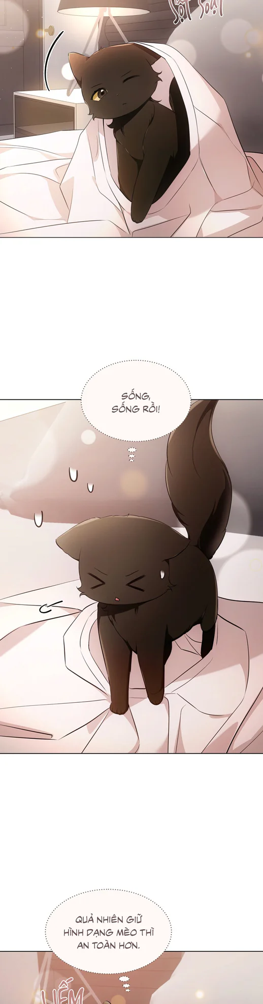 Liệu Pháp Trị Liệu Mèo Chapter 18 Trang 18