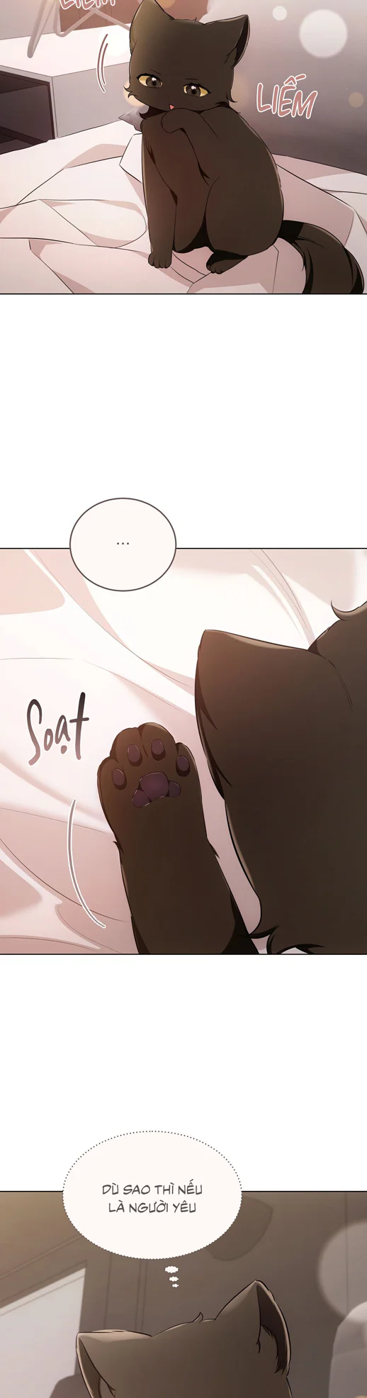 Liệu Pháp Trị Liệu Mèo Chapter 18 Trang 19