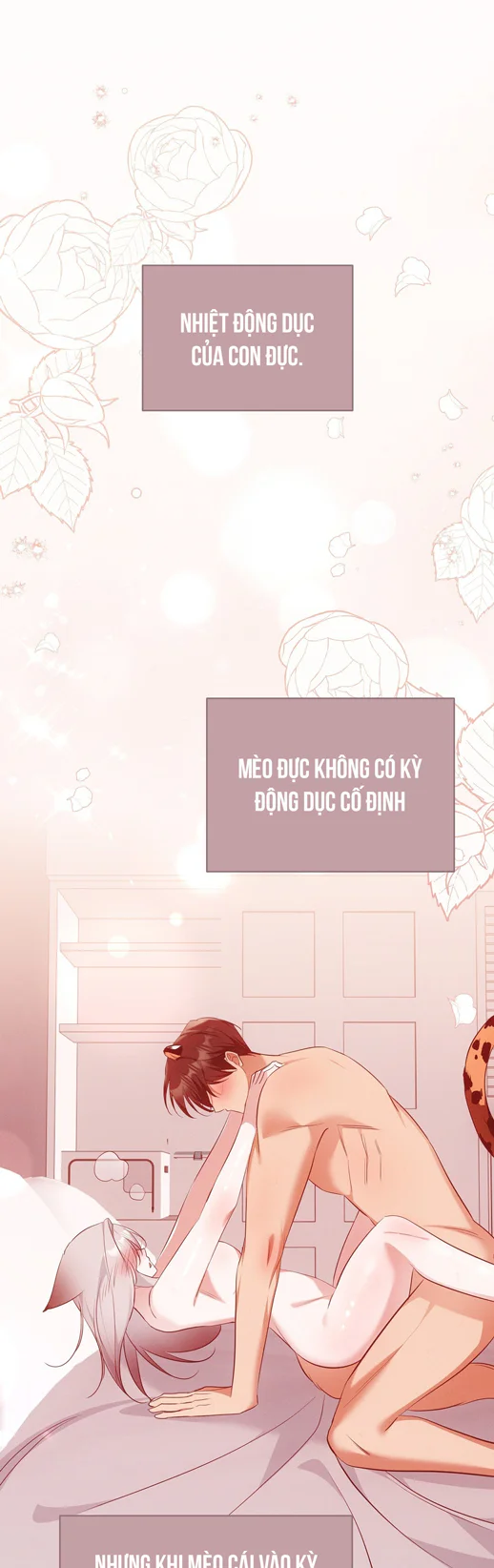 Liệu Pháp Trị Liệu Mèo Chapter 18 Trang 26