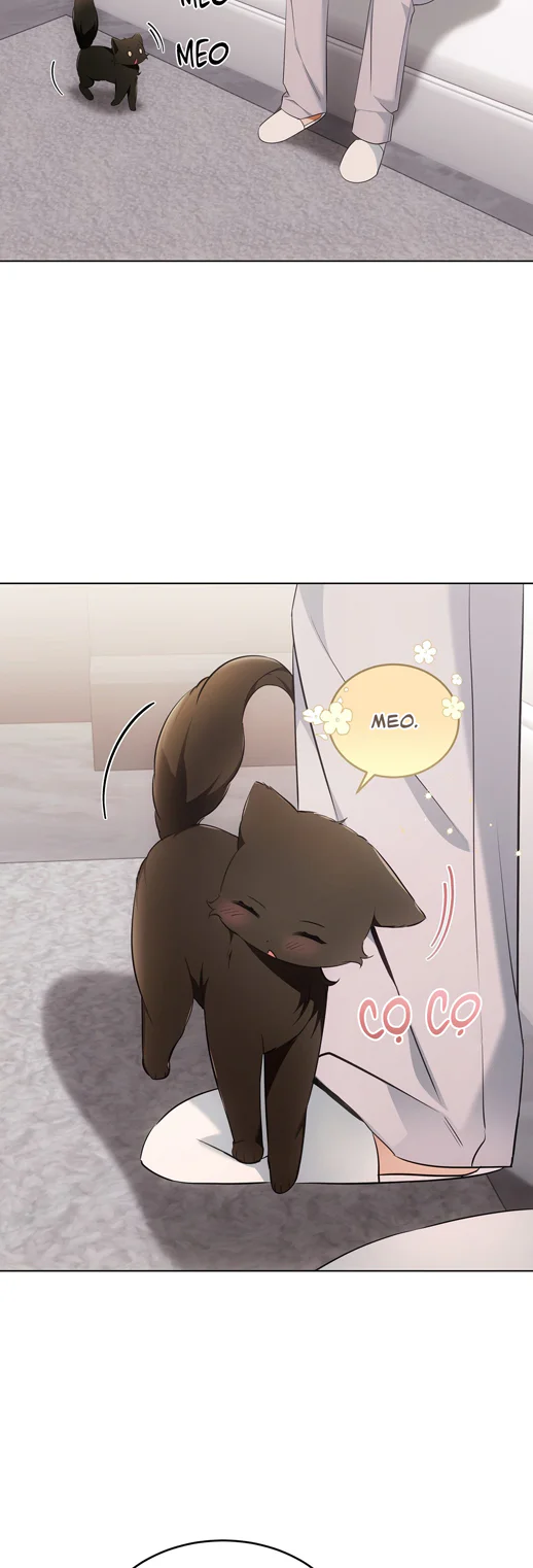 Liệu Pháp Trị Liệu Mèo Chapter 18 Trang 33
