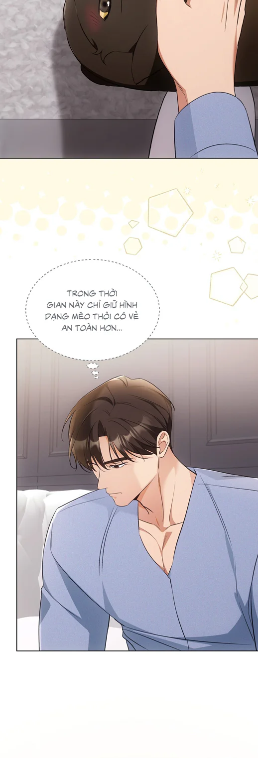 Liệu Pháp Trị Liệu Mèo Chapter 18 Trang 35