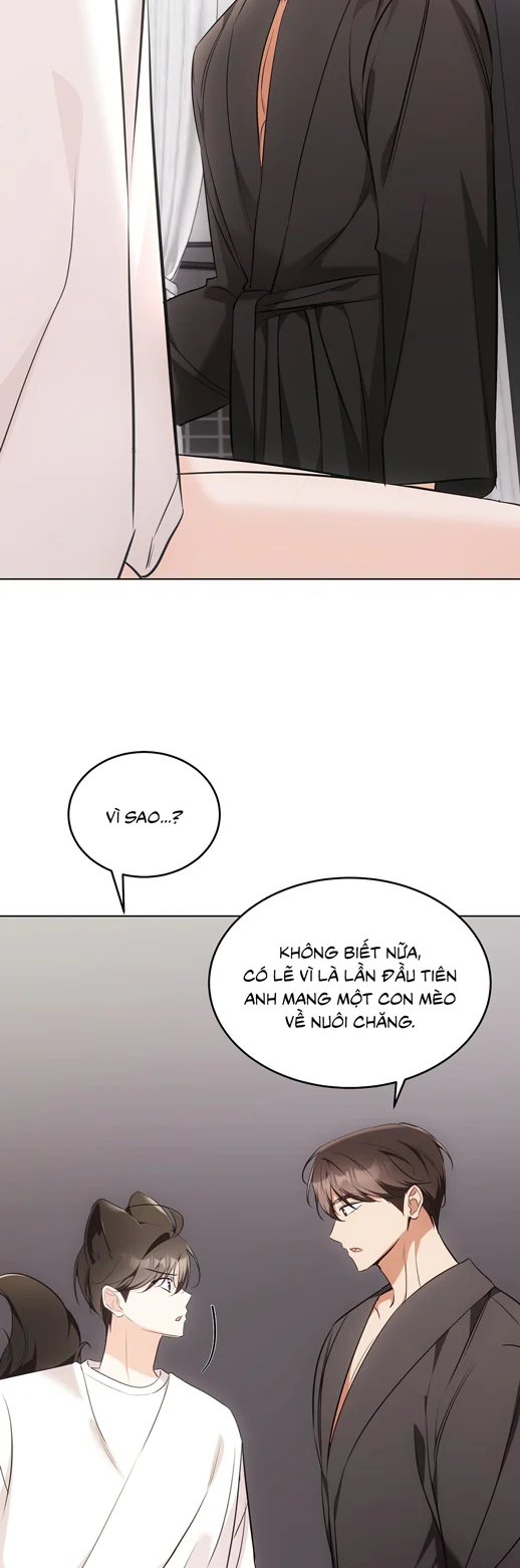 Liệu Pháp Trị Liệu Mèo Chapter 19 Trang 29