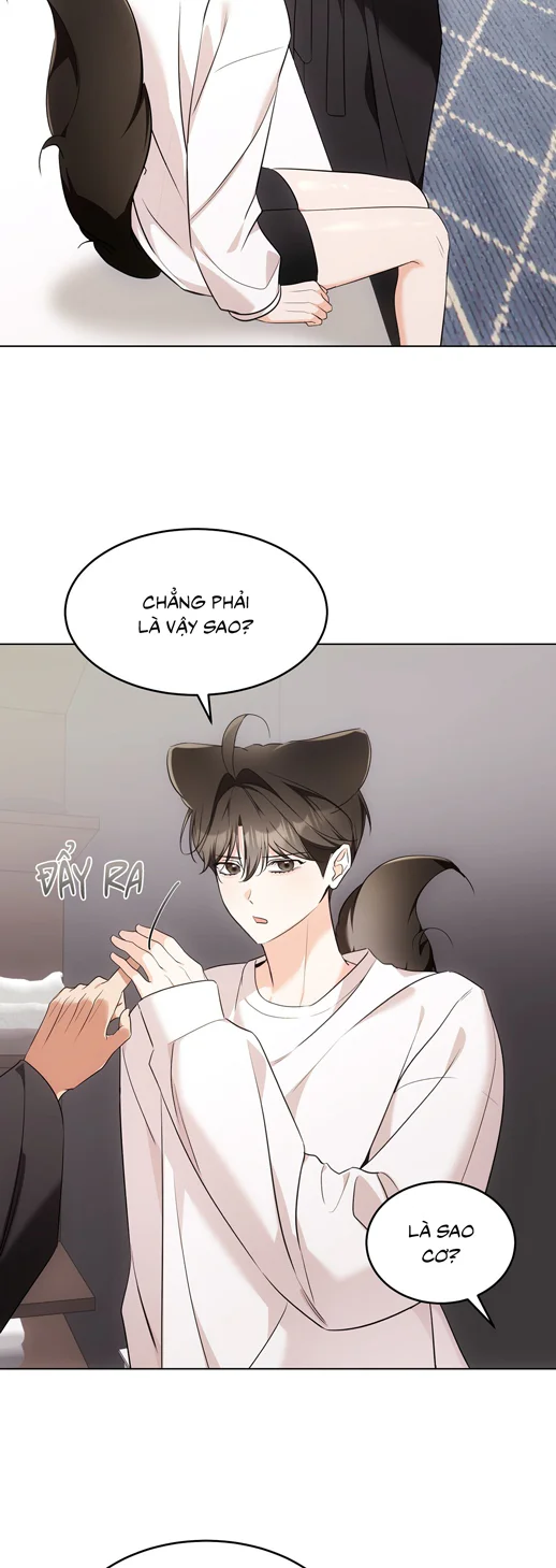 Liệu Pháp Trị Liệu Mèo Chapter 19 Trang 32